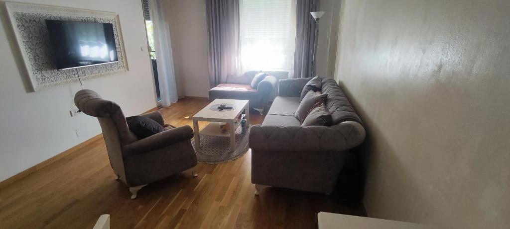 Stan na dan - Exit, Petrovaradin