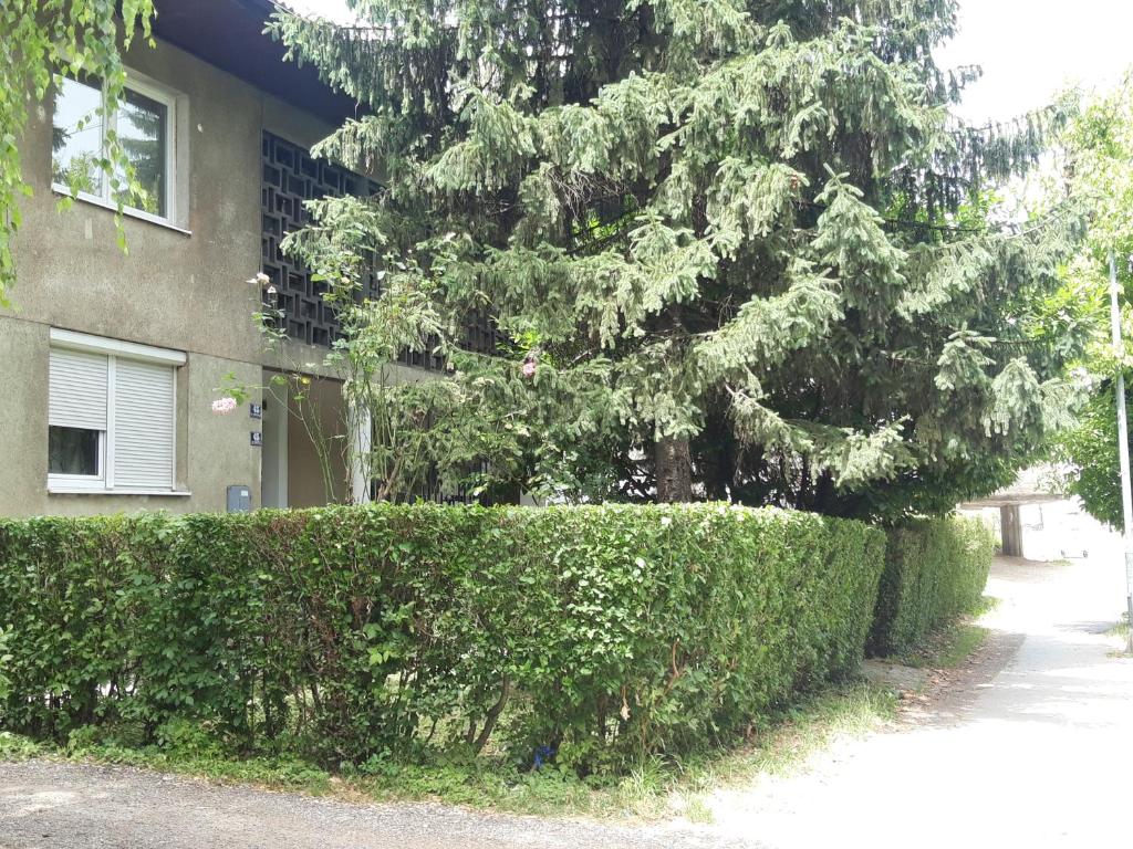 Apartman Nena - 4