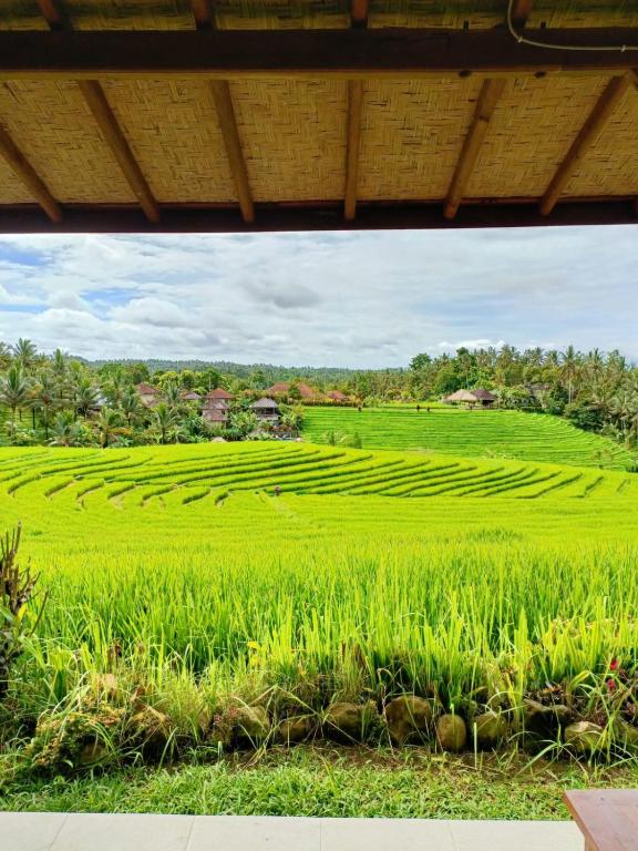 Balitrees, Selemadeg