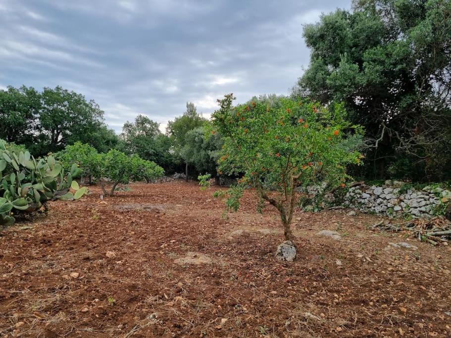 Casa di Campagna - 5
