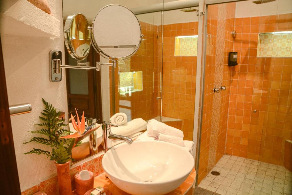 Petit Mesón (Pet Friendly Hotel) - 4