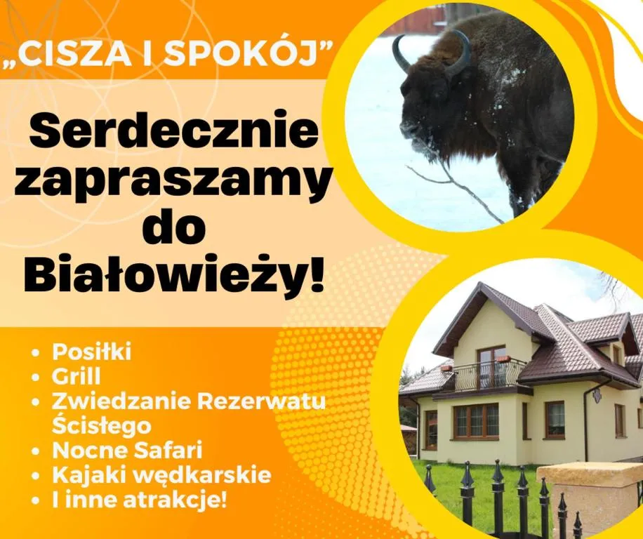Pokoje Gościnne Сisza，位于比亚沃维耶扎的酒店
