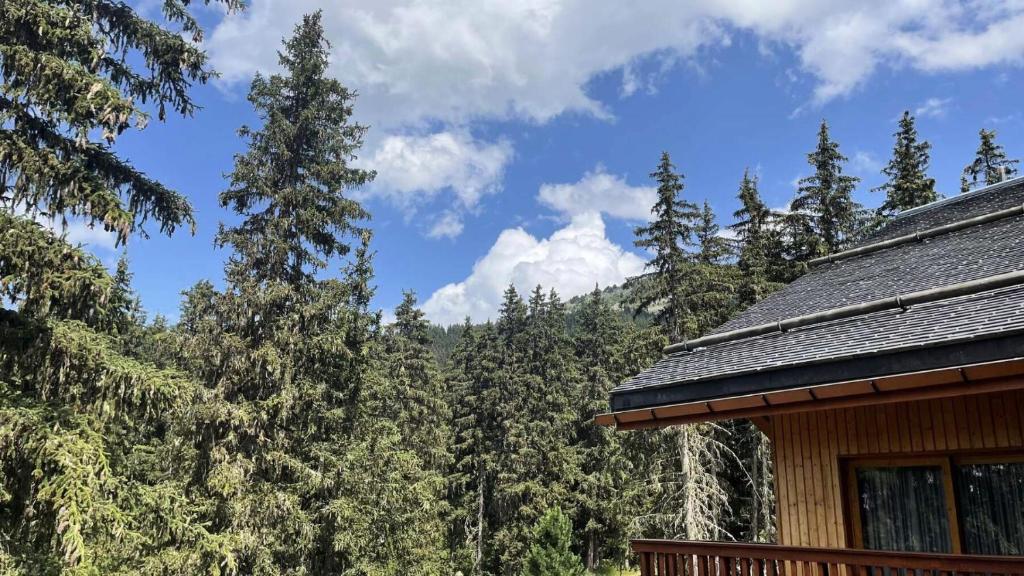 Résidence Les Eperonnelles - Appartement 3 pièces pour 6 personnes situé à Méribel Altiport, proche des pistes de ski et du golf MAE-2644 - 4