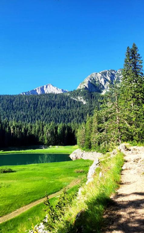 Holiday Home Stefani - 5