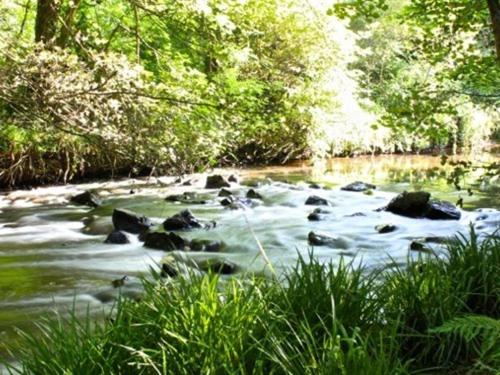 アクティビティ