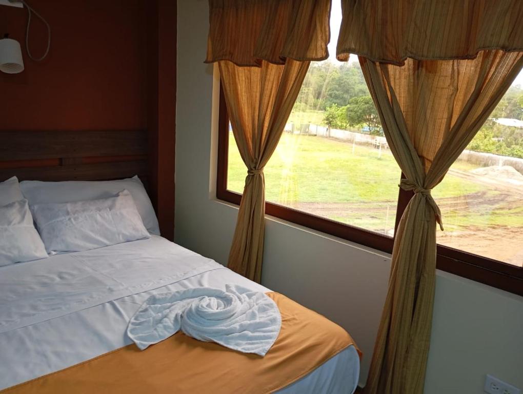 Hotel restaurante Andy - 4