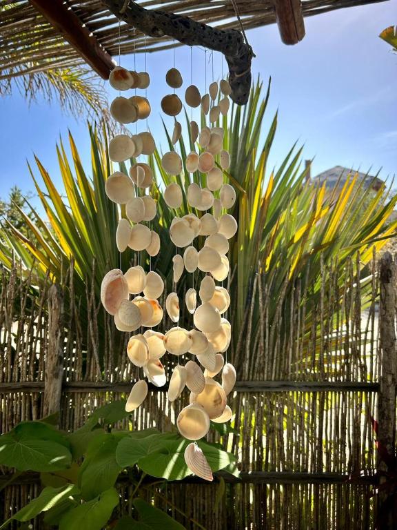 Casa Nada, El Pescadero