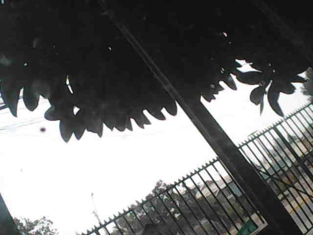 Mi lugar De Encuentro - 4