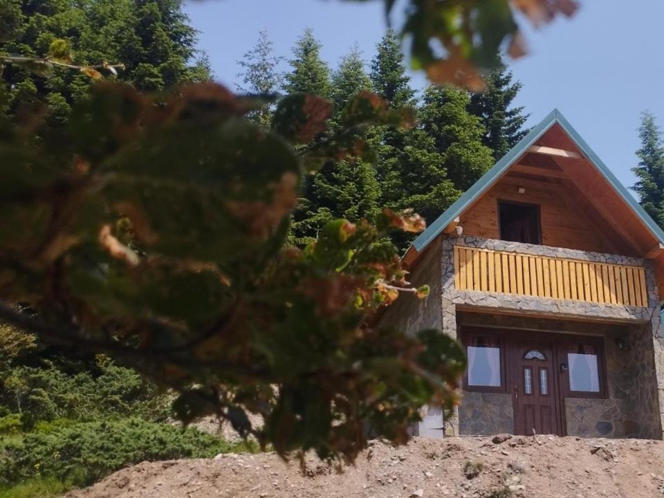 Mountain apartment-Komovi - 2
