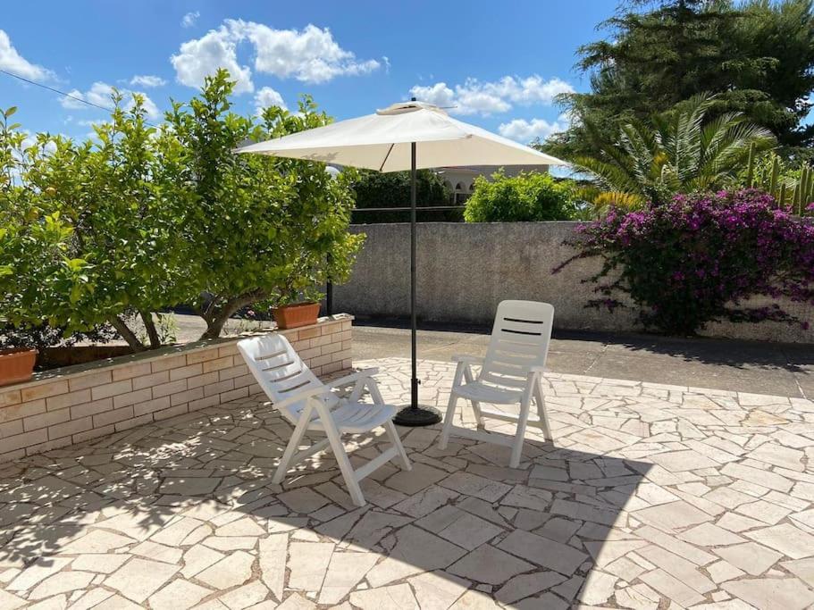 La casa degli ulivi - 2
