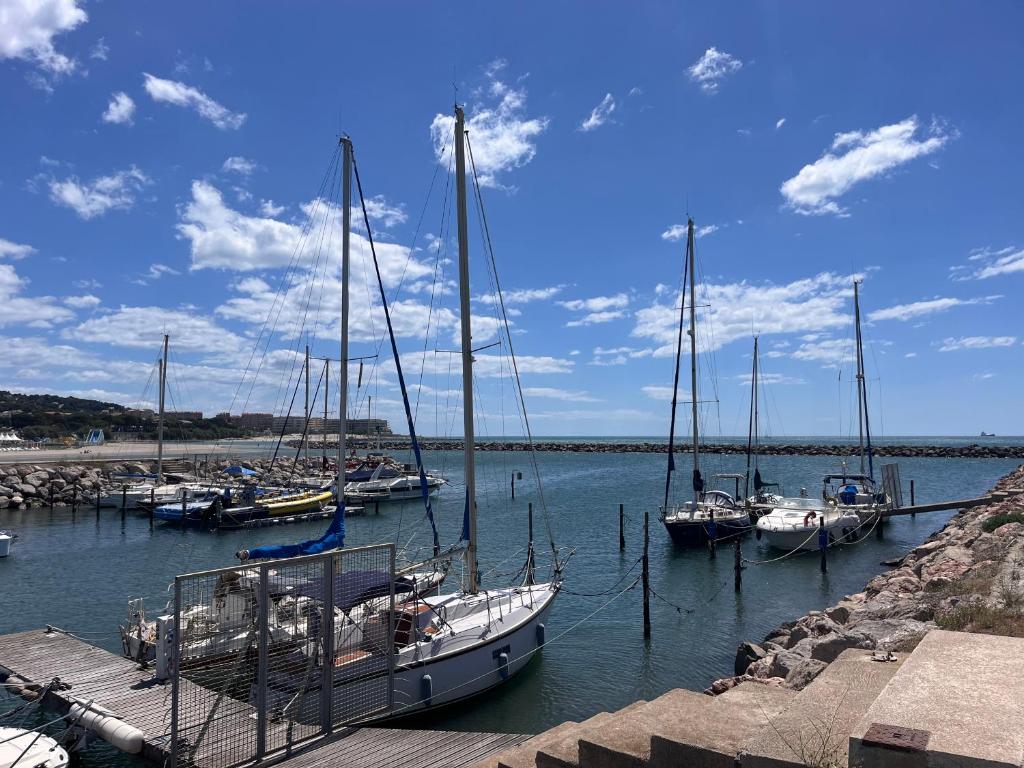 Votre Pied-à-Terre en Bord de Mer - 5