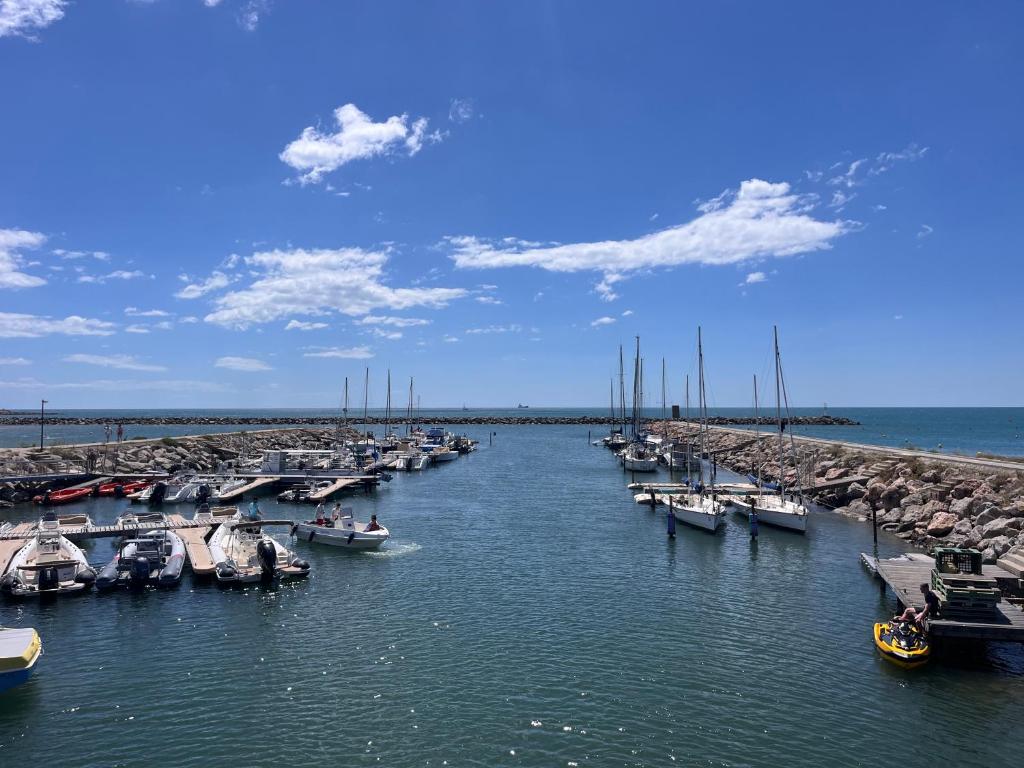 Votre Pied-à-Terre en Bord de Mer - 2