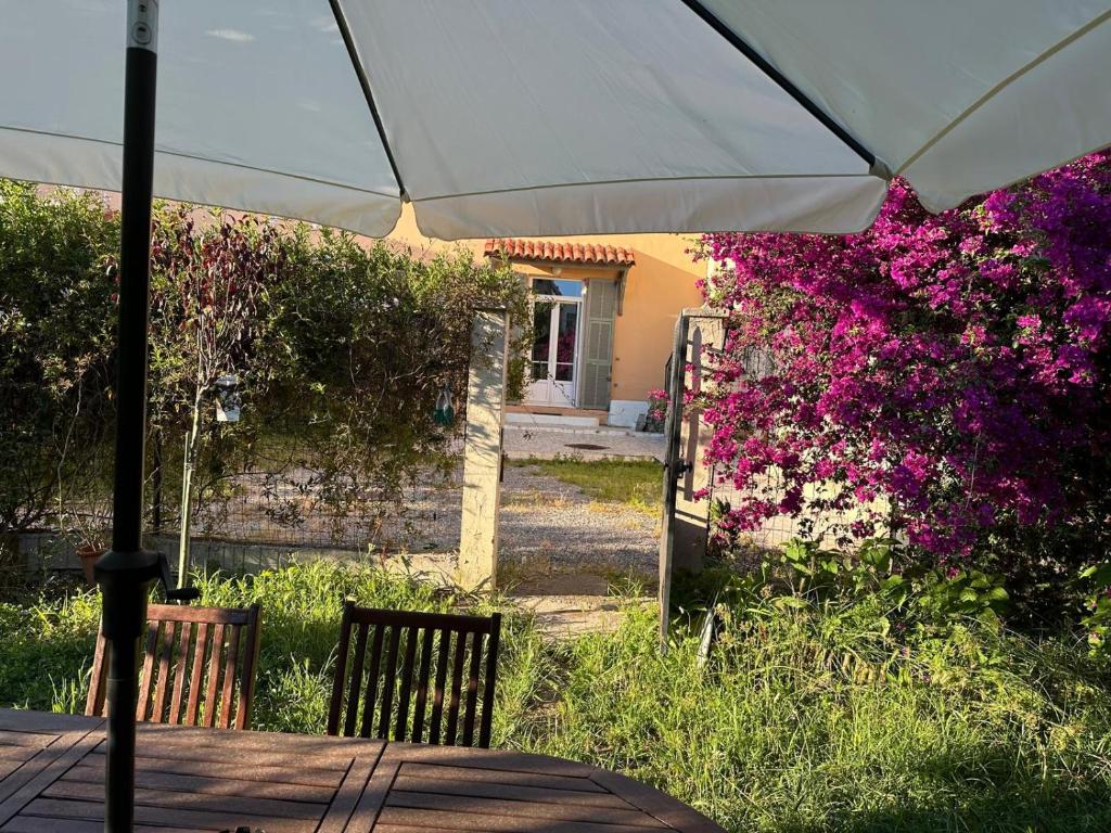STUDIO dans Villa à Nice Ouest - 1