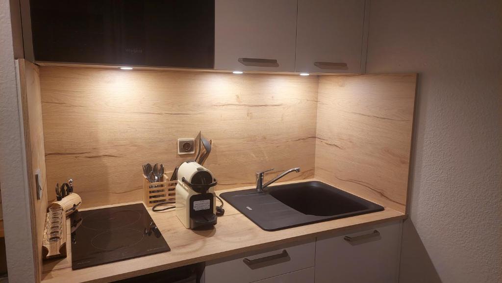Studio au pied des remontées/wifi/smart TV/parking - 3
