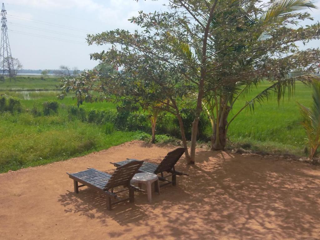 WHY NOT guesthouse, Tissamaharama