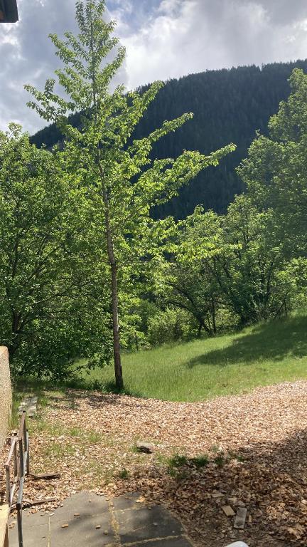Ô Bercail Gîte de basse montagne 7' de vercorin - 3