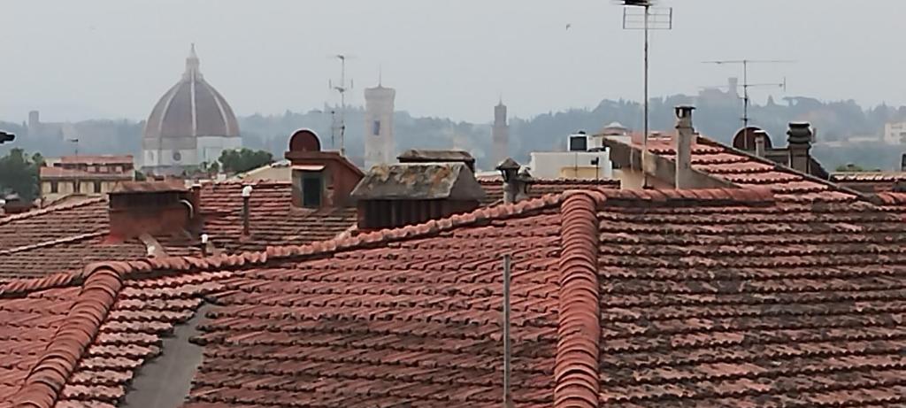 Sanesi's penthouse - 5