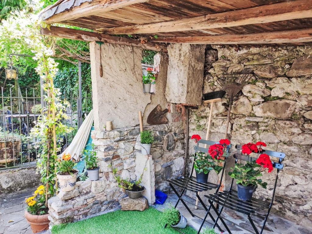 Apartment Tommaso by Interhome - 4
