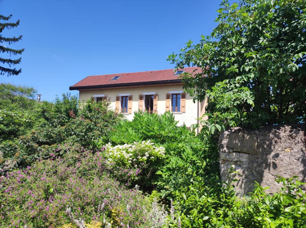 Les Jardins du Chateau - 2