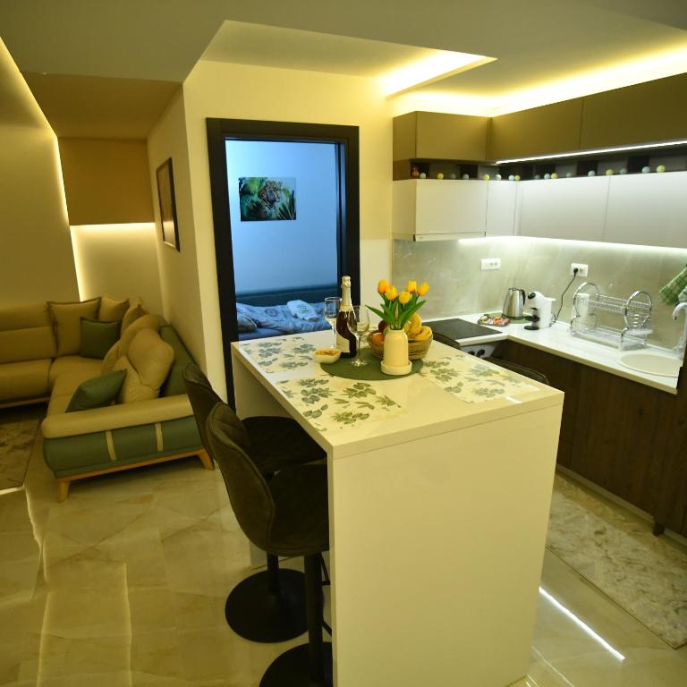 Apartman Viktor LUX - 3