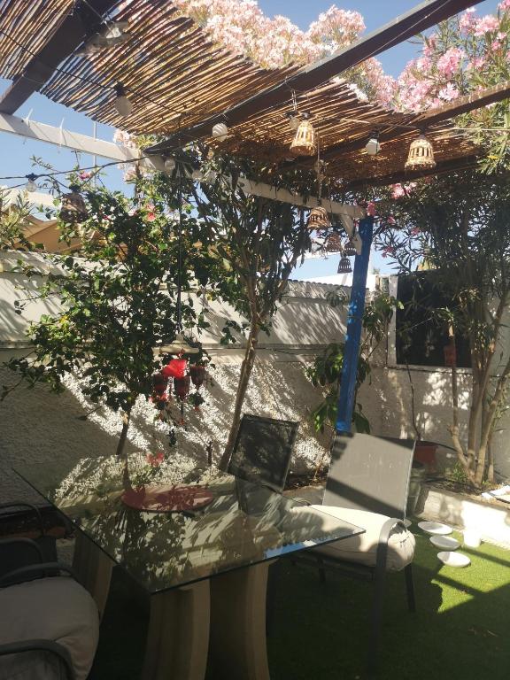 Yumbo room - 5