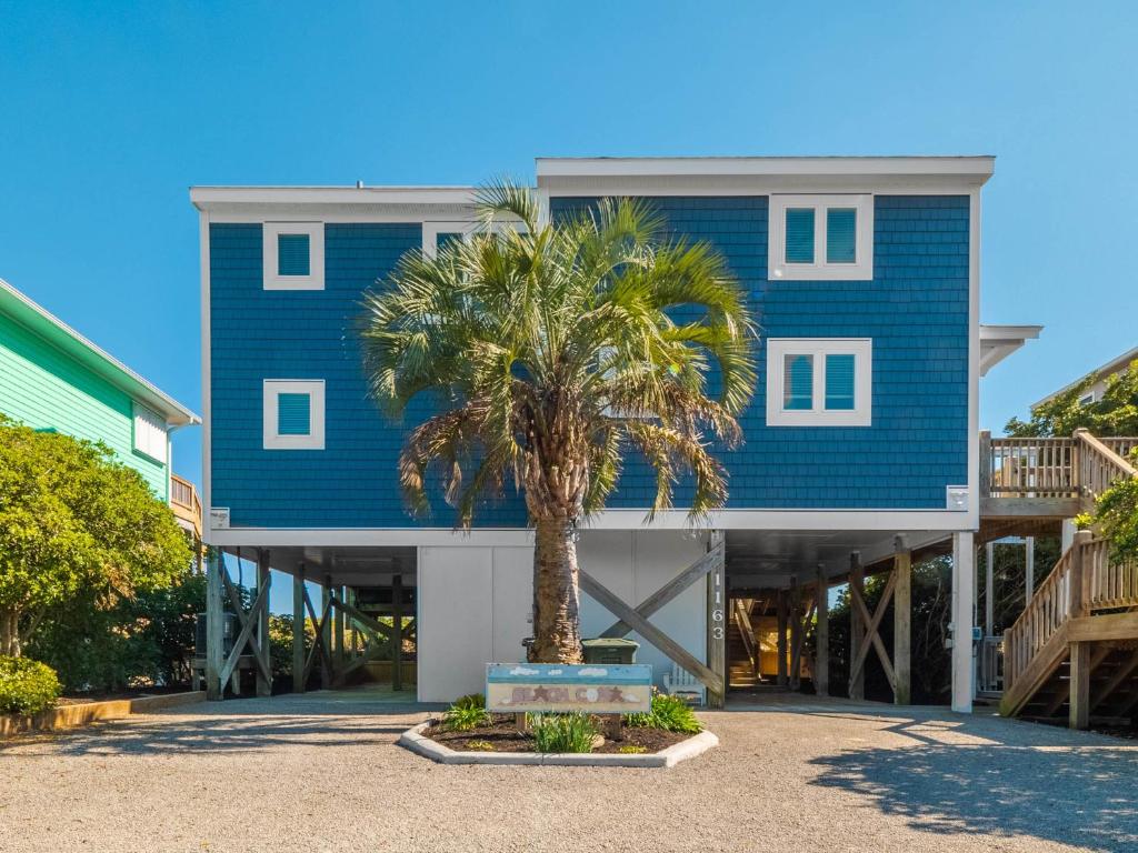 Beach Coma, Surf City