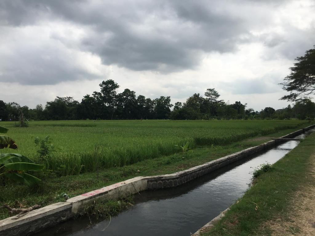 Serambut Widi Artcation