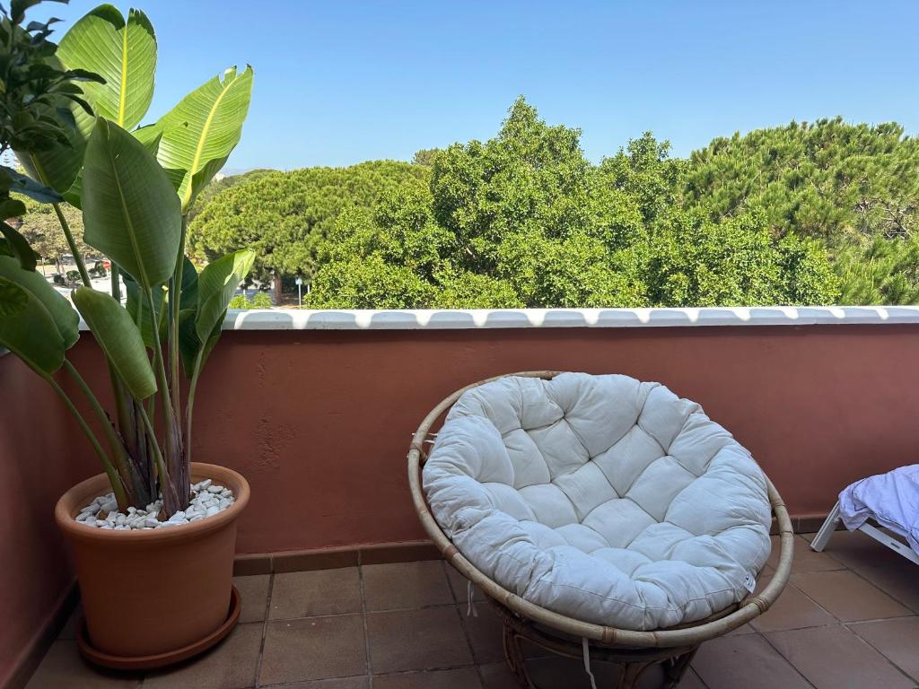 Fancy duplex penthouse in Carib Playa Cabopino - 3