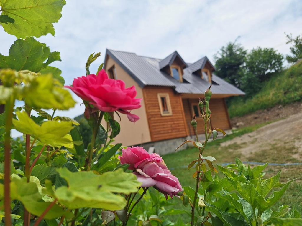 Dušan_guest_house - 3