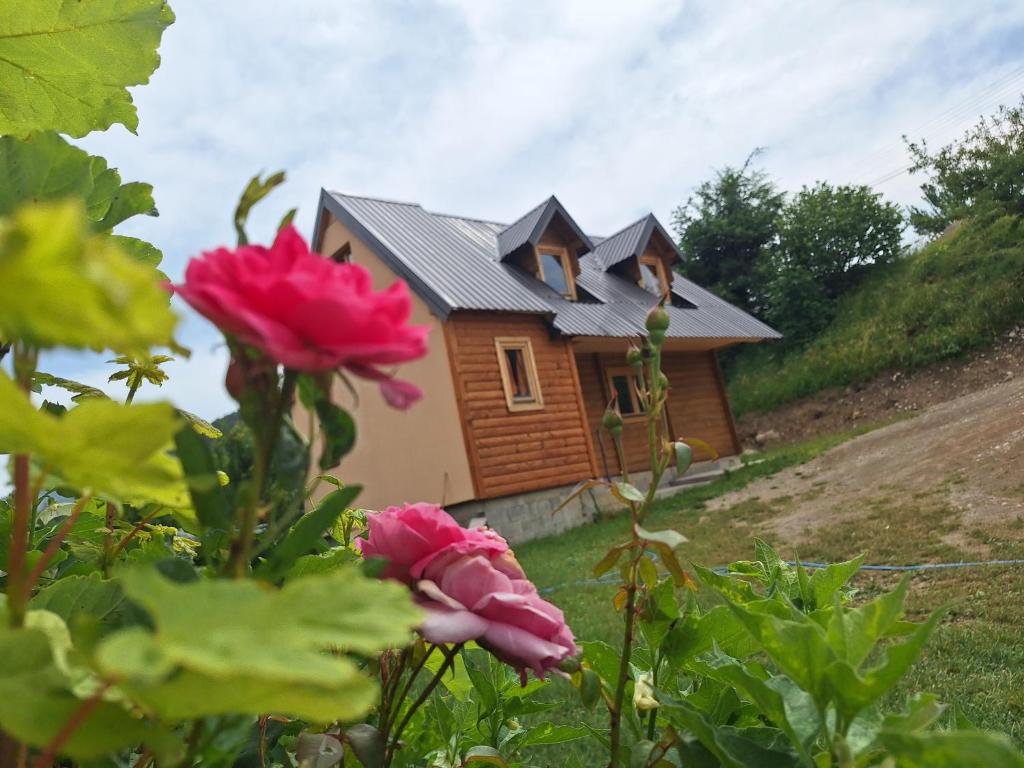 Dušan_guest_house - 5
