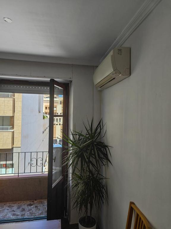 Doli Apartaments - 3