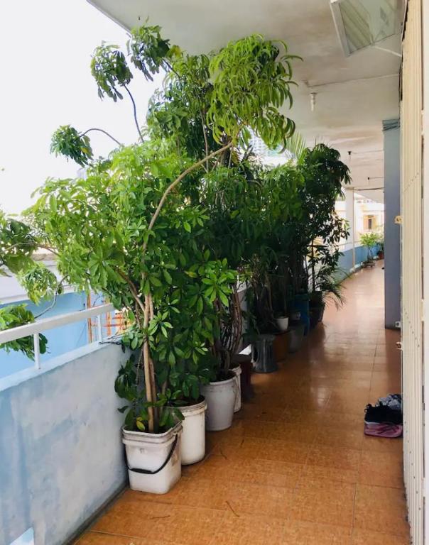 Xanh &#8211; Phố Biển &#8211; Chợ Đầm