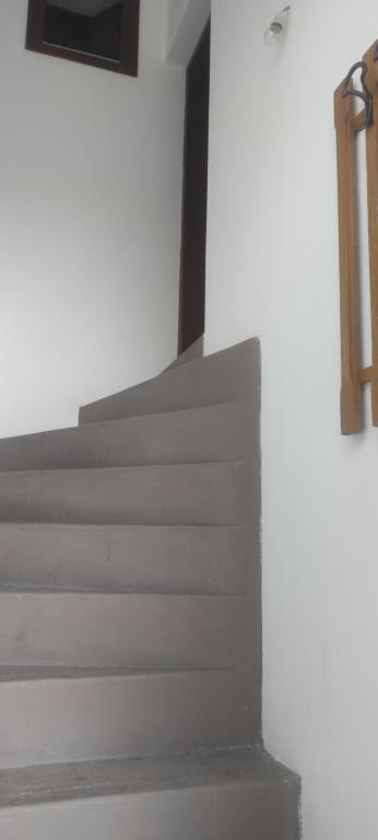 Apartmani za Exit 2024, Petrovaradin