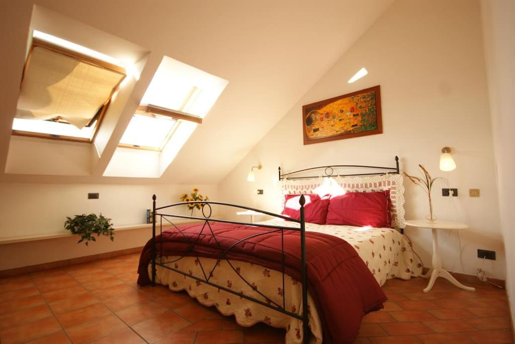 Sinfonia Mimosa central 2-room-flat - 4
