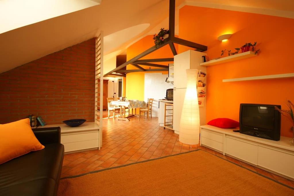 Sinfonia Mimosa central 2-room-flat - 5