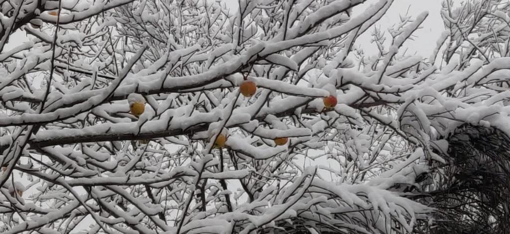 Casa Neneo Bariloche 2 - 3