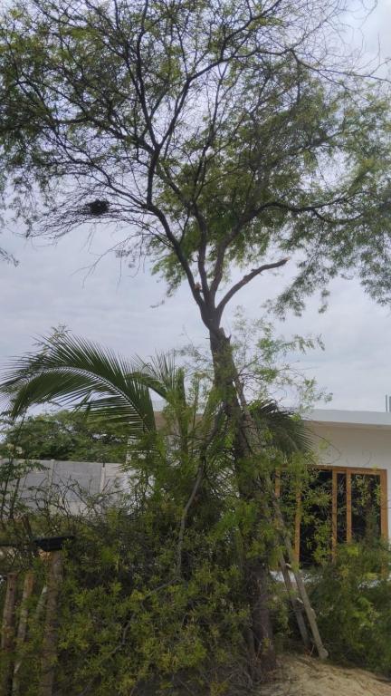 Casa Eduardo - 2