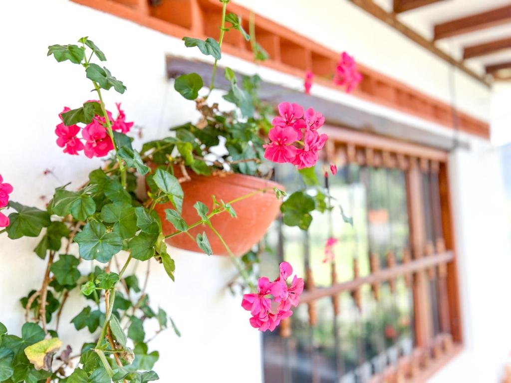 Cabaña Privada en Villa de Leyva - 4