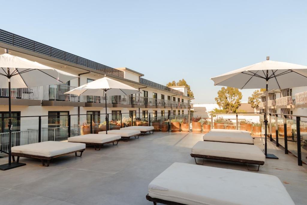 디 앤섬 힐튼 루프탑