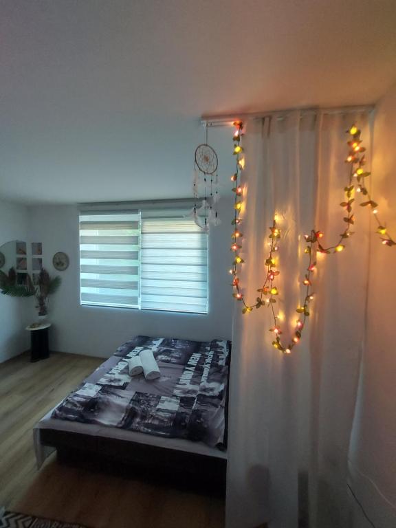 Pandora's Place - 2
