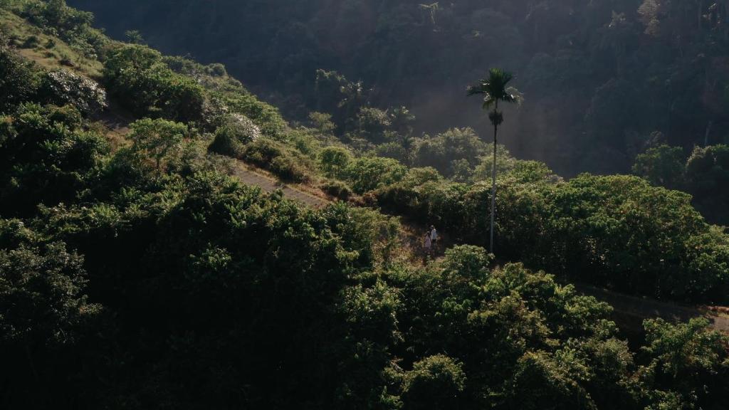 スポーツ/アクティビティ