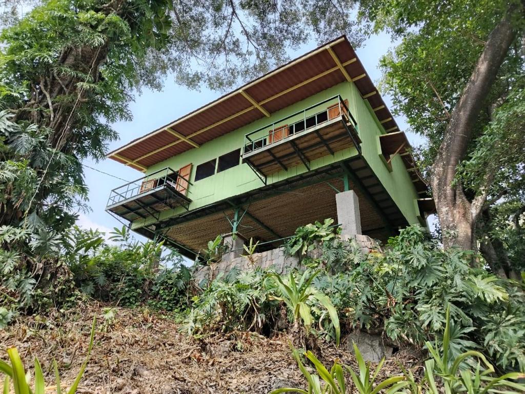 Teopan Treehouse, Montebello