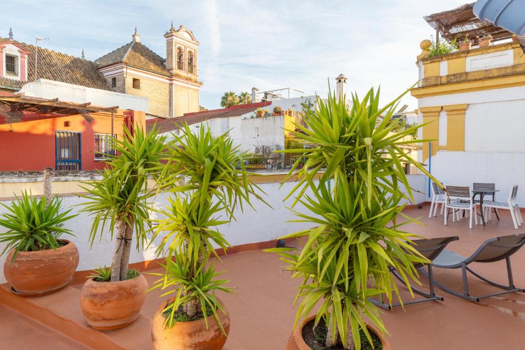 DescubreHome Penthouse Santa Cruz, Private Terrace - 5