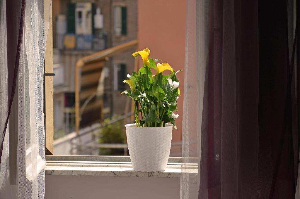 Casa Via Cesena - 3