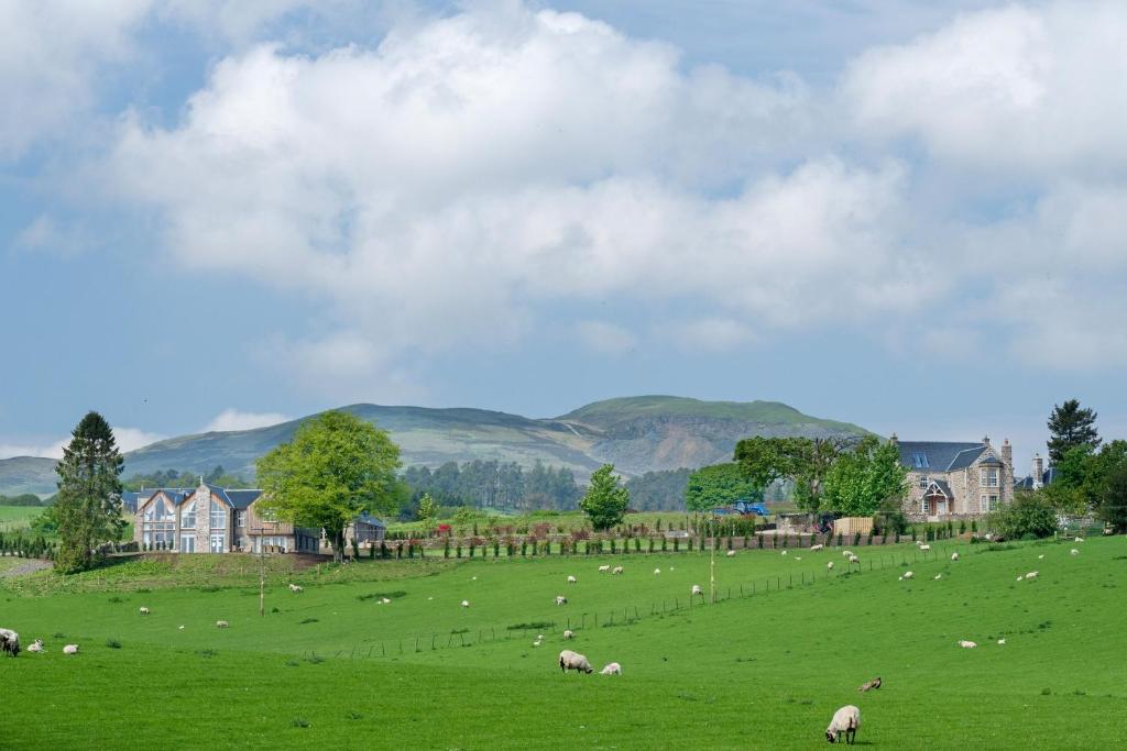 Milton Farm, Buchanty