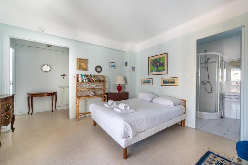 A056 - Nice Studio Cannes centre with parking - 4