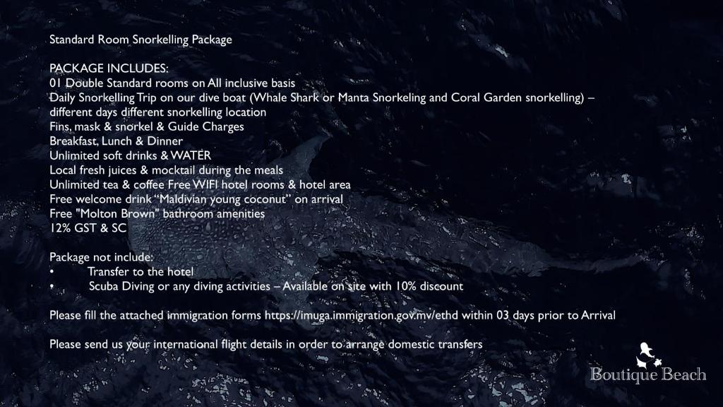 スポーツ/アクティビティ