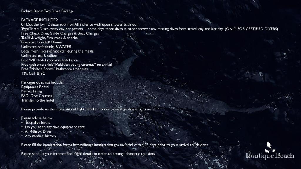 スポーツ/アクティビティ