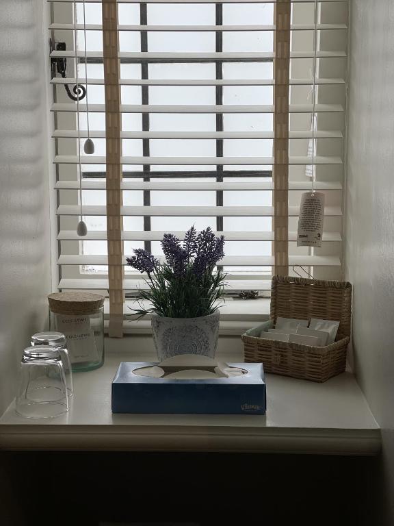 バスルーム（客室）