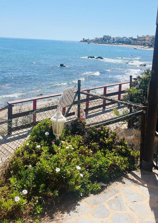 Tranquil Oceanfront Escape, One-Bedroom Haven - 4